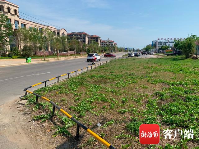 新合埠路最新動態(tài)，邁向未來的城市主干道重塑與升級