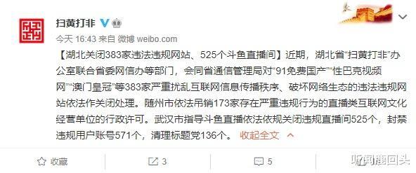 關于91論壇最新網頁發布與涉黃問題的探討