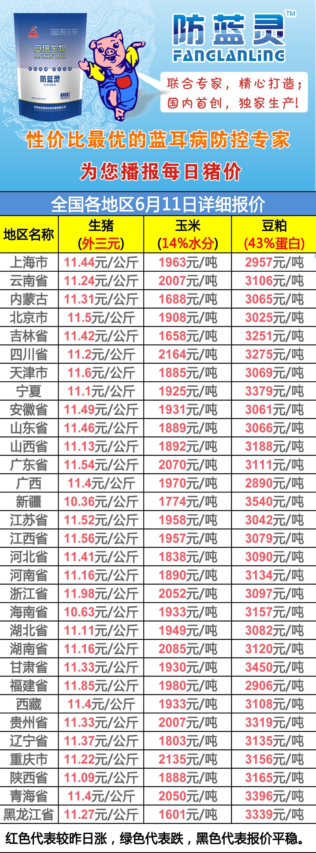 廣東生豬價格今日豬價最新行情